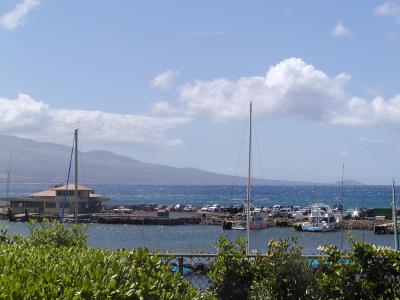 Ma'alaea Harbor