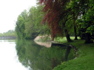 u45/lousmila/medium/29121244.Fon.pool206.jpg