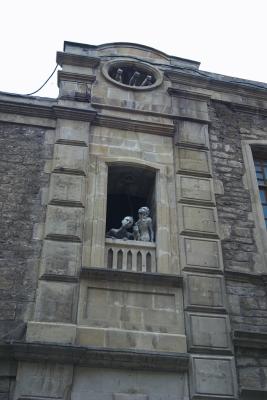 Children looking up to the cats