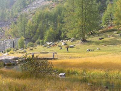 Alpe Devero National Park 3.jpg