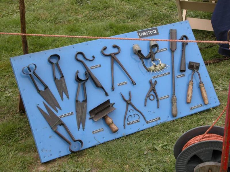 Livestock Tools