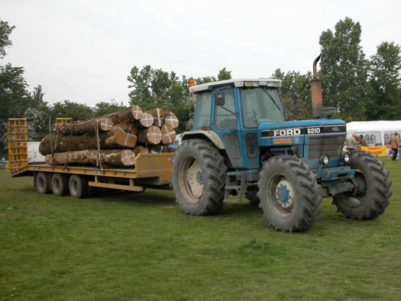 DSCN8998.jpg