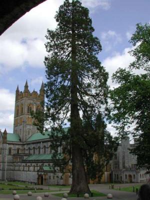 Buckfast Abbey - 35.jpg