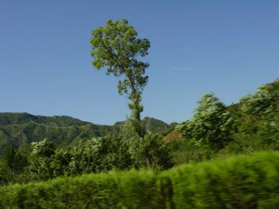 DSC02862.JPG