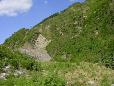 DSC02889.JPG