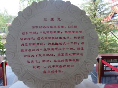 DSC04409.JPG
