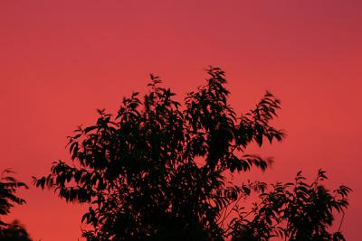 sunset_actualcolors2.jpg