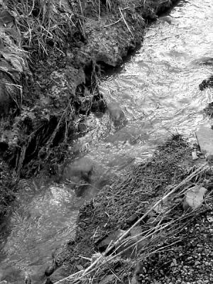 In the Ditch