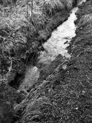 Runoff b&w
