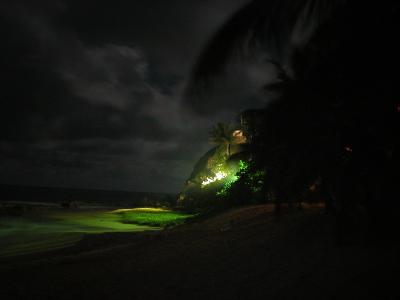 Night On the Beach
