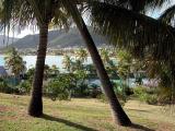 Tennis Courts -  view from the hill