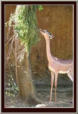 {Q}IMG_0040ps.jpg