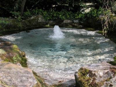 Clear Water