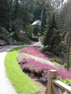 Curving Path