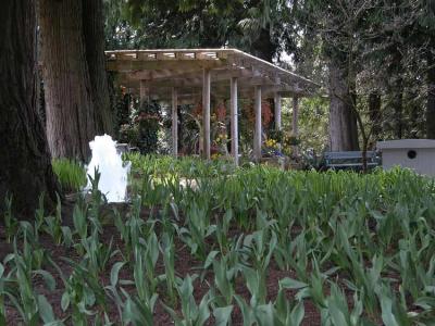 Covered Pavilion