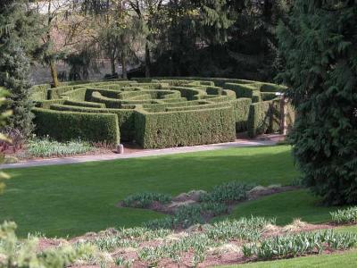The Maze