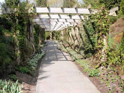 Under the Trellis