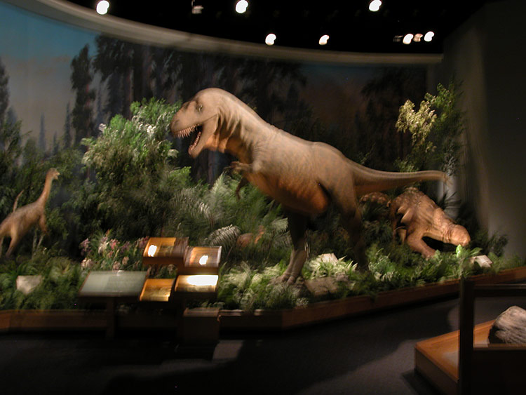 dinosaur provincial park royal tyrrell museum