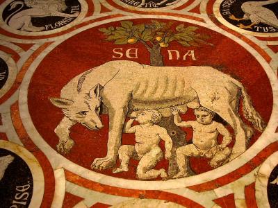 Floor covering, Duomo, Siena