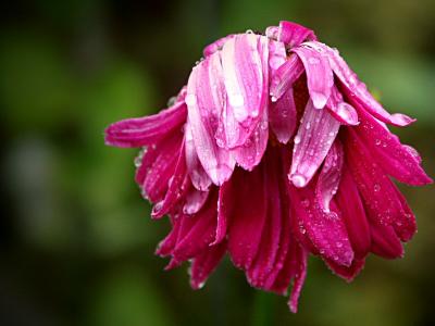 It rained a lot last night...