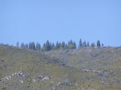 P5300725.JPG