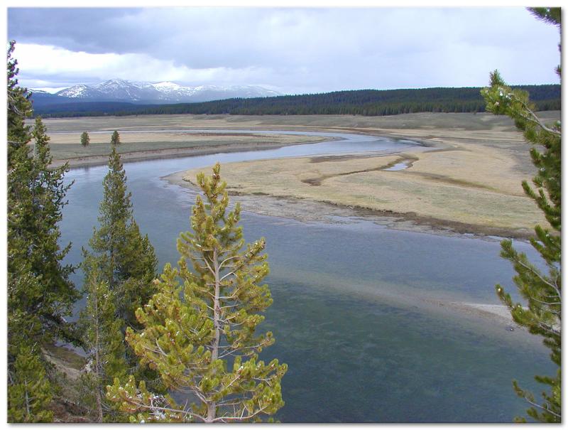  Hayden Valley and the Yellowstone River