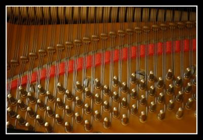 u45/mdaveau/medium/34599206._Piano0005.jpg