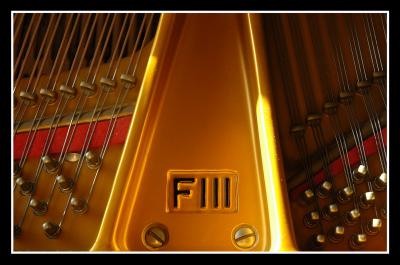 u45/mdaveau/medium/34599207._Piano0006.jpg