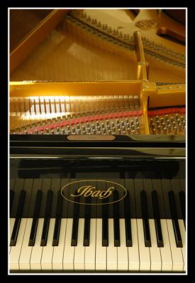 u45/mdaveau/medium/34599210._Piano0010.jpg