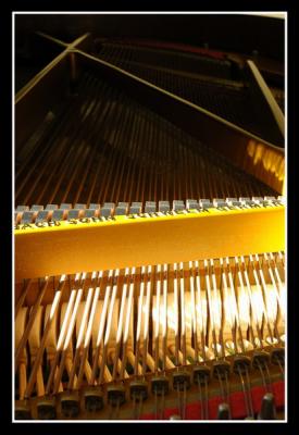 u45/mdaveau/medium/34599212._Piano0012.jpg