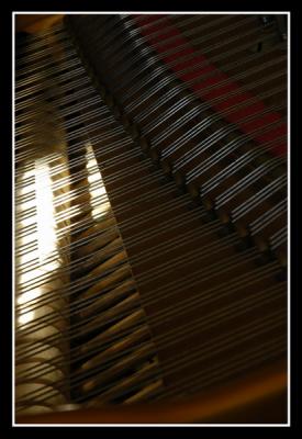 u45/mdaveau/medium/34599214._Piano0014.jpg