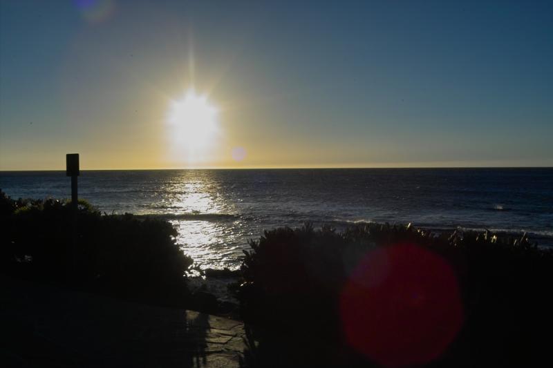 IMG01937.jpg