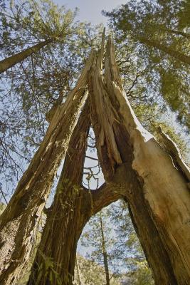 Yosemite