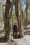 Yosemite