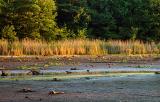 A seven acre lake reduced to a stream