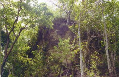 The Main Pyramid Reclaimed by Mother Jungle...