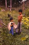 Ketchi Maya Boys Collect The fruit  From a Ramn Tree 