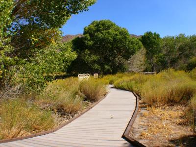 Marsh Trail