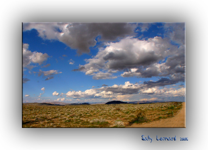 Mojave Desert Sky