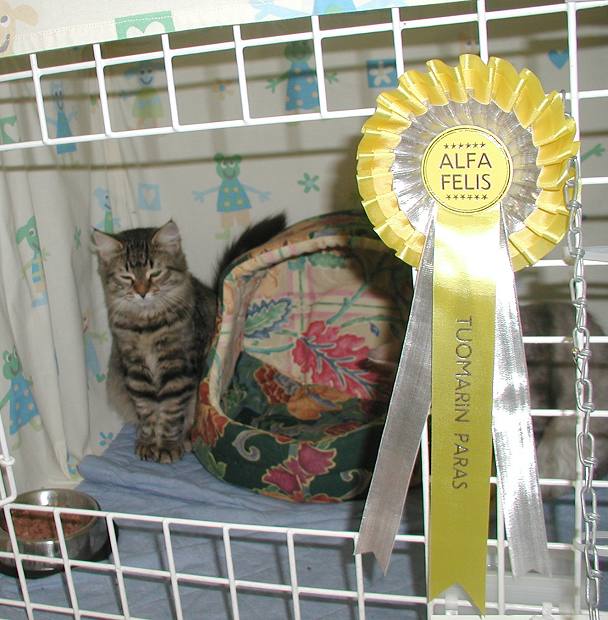 Huldas result - Ex1 and Nominated for Best in Show