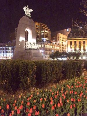 Confederation Square Tulips