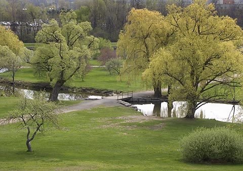 Arboretum2
