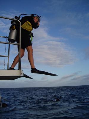 The Great Barrier Reef, part 2
