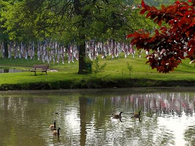Healing Field