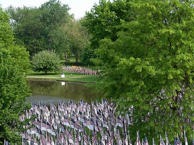 Healing Field