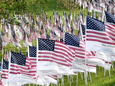 Healing Field