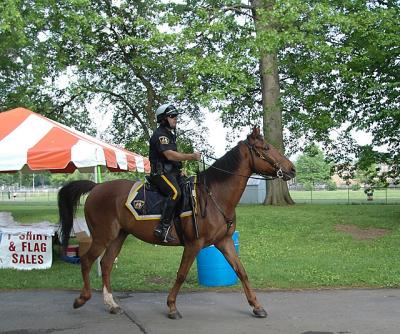 Officer on Horseback