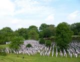 Healing Field