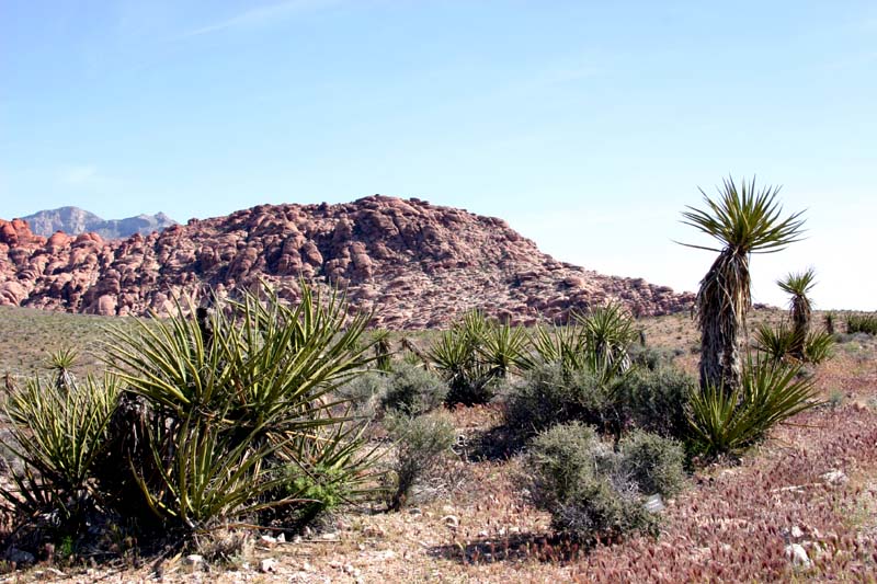 Red Rock Canyon