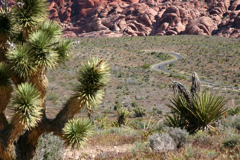 Red Rock Canyon